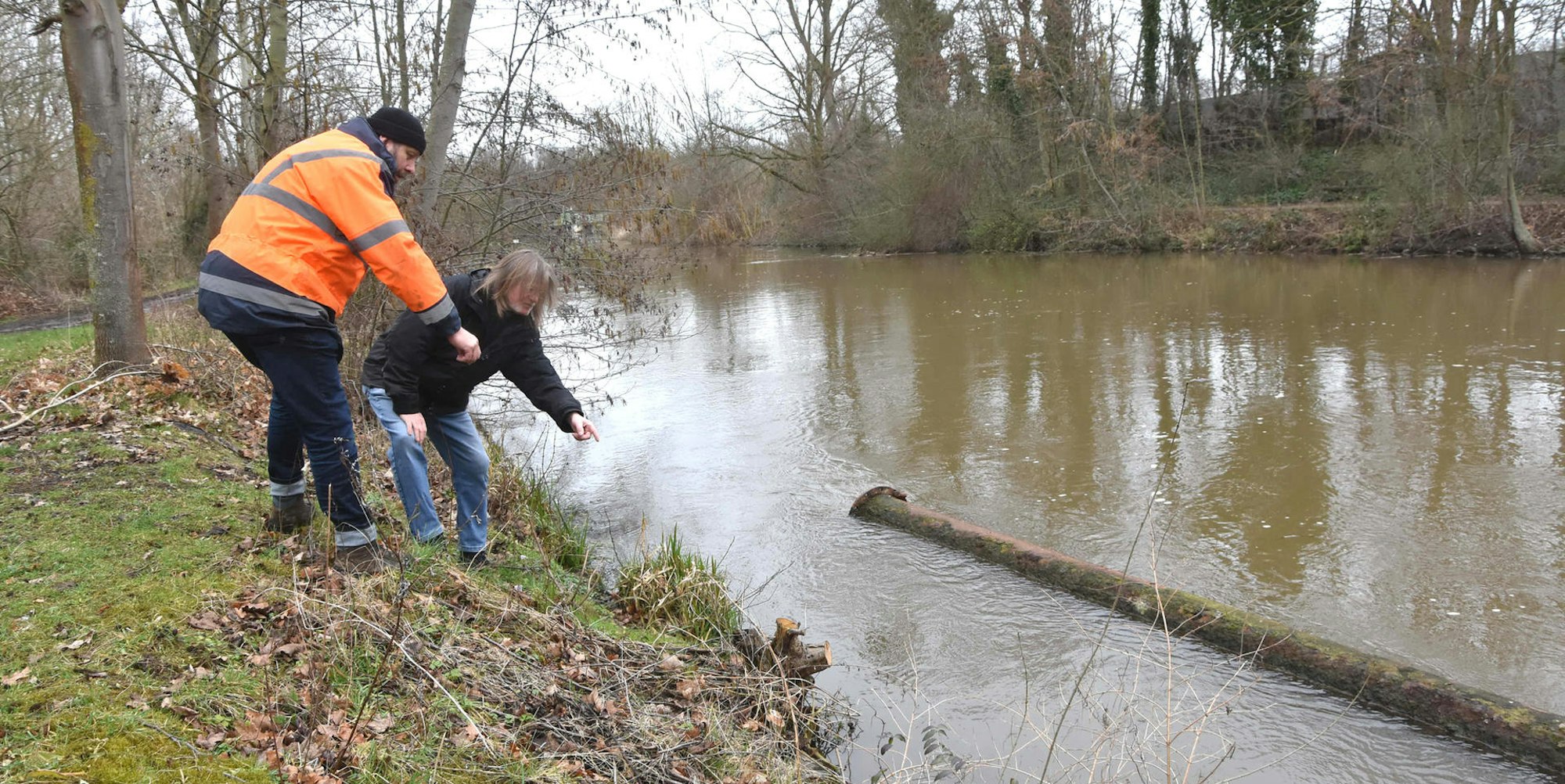 bb-Wilde-Rodungen-Erftufer-FTZ (7)