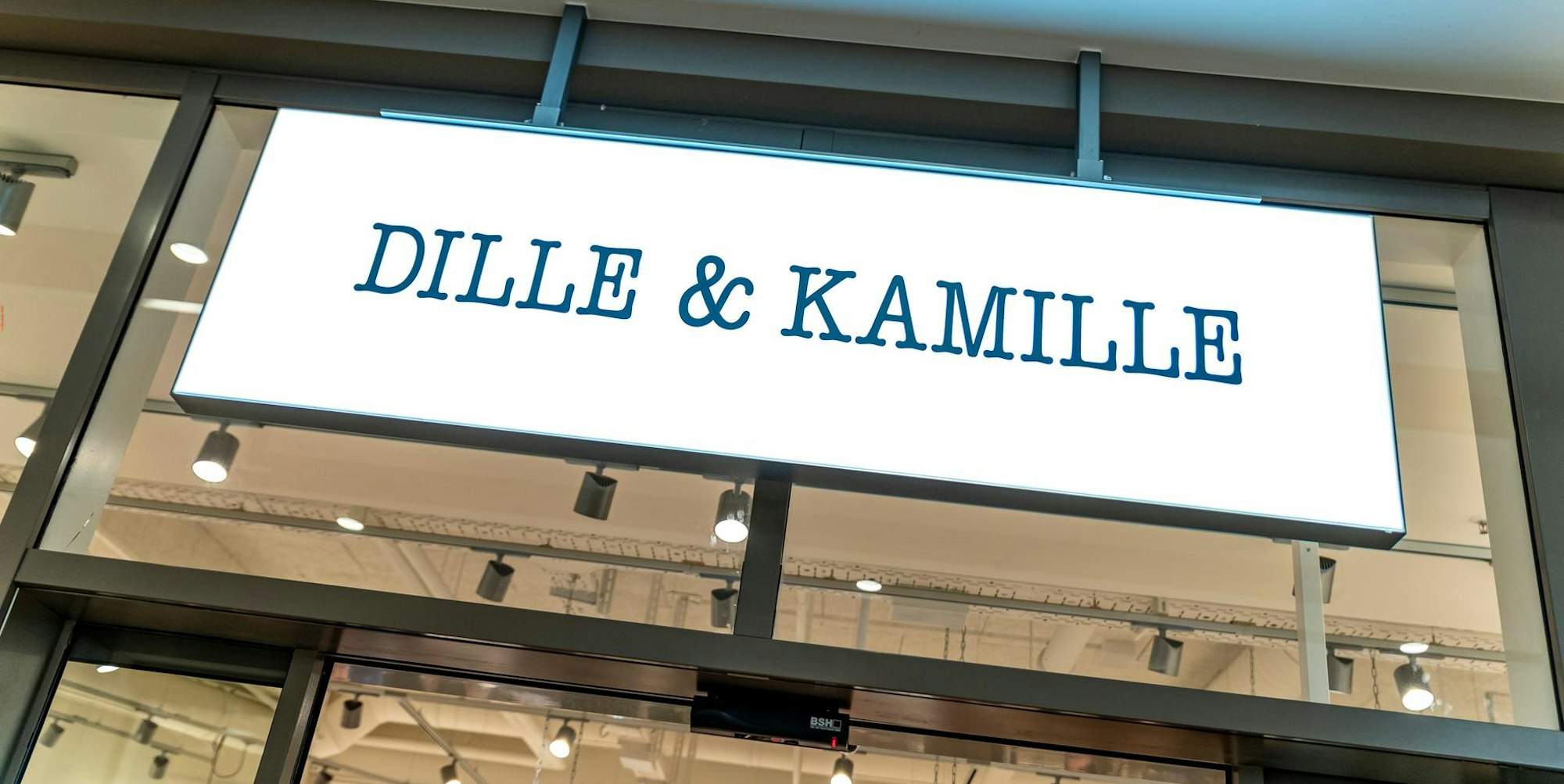 Dille und Kamille Logo 090222