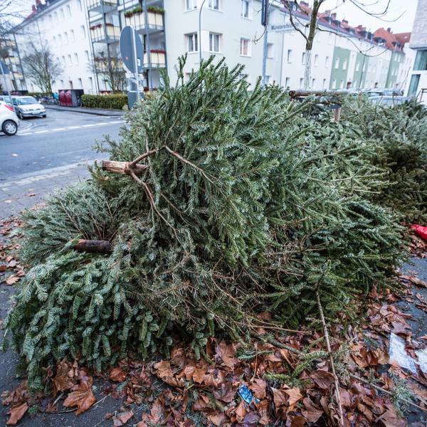 Neuer Inhalt