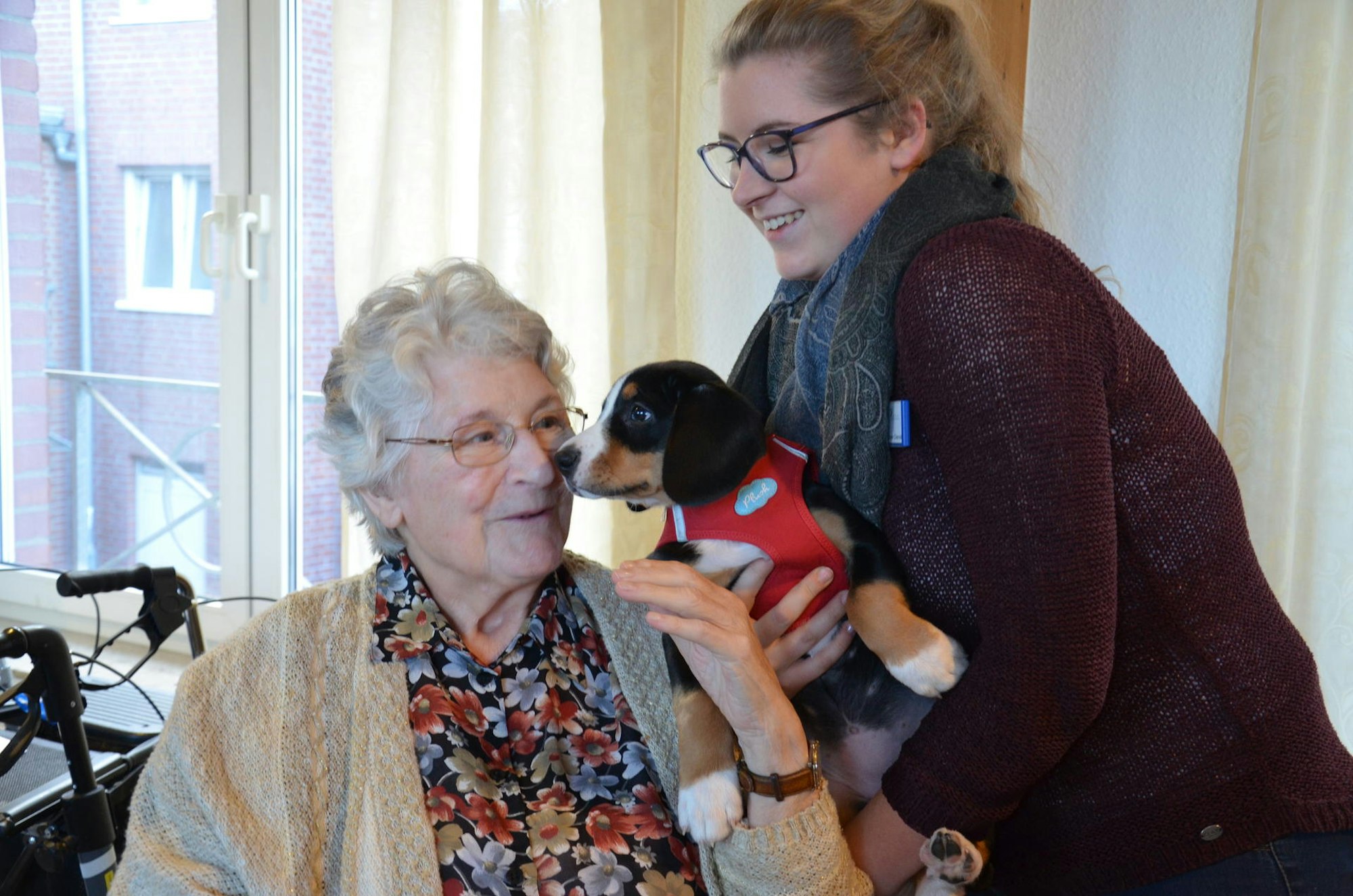 Hundebesuchsdienst_Brühl3