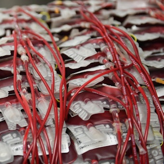 Blutspenden_69806212 (1)