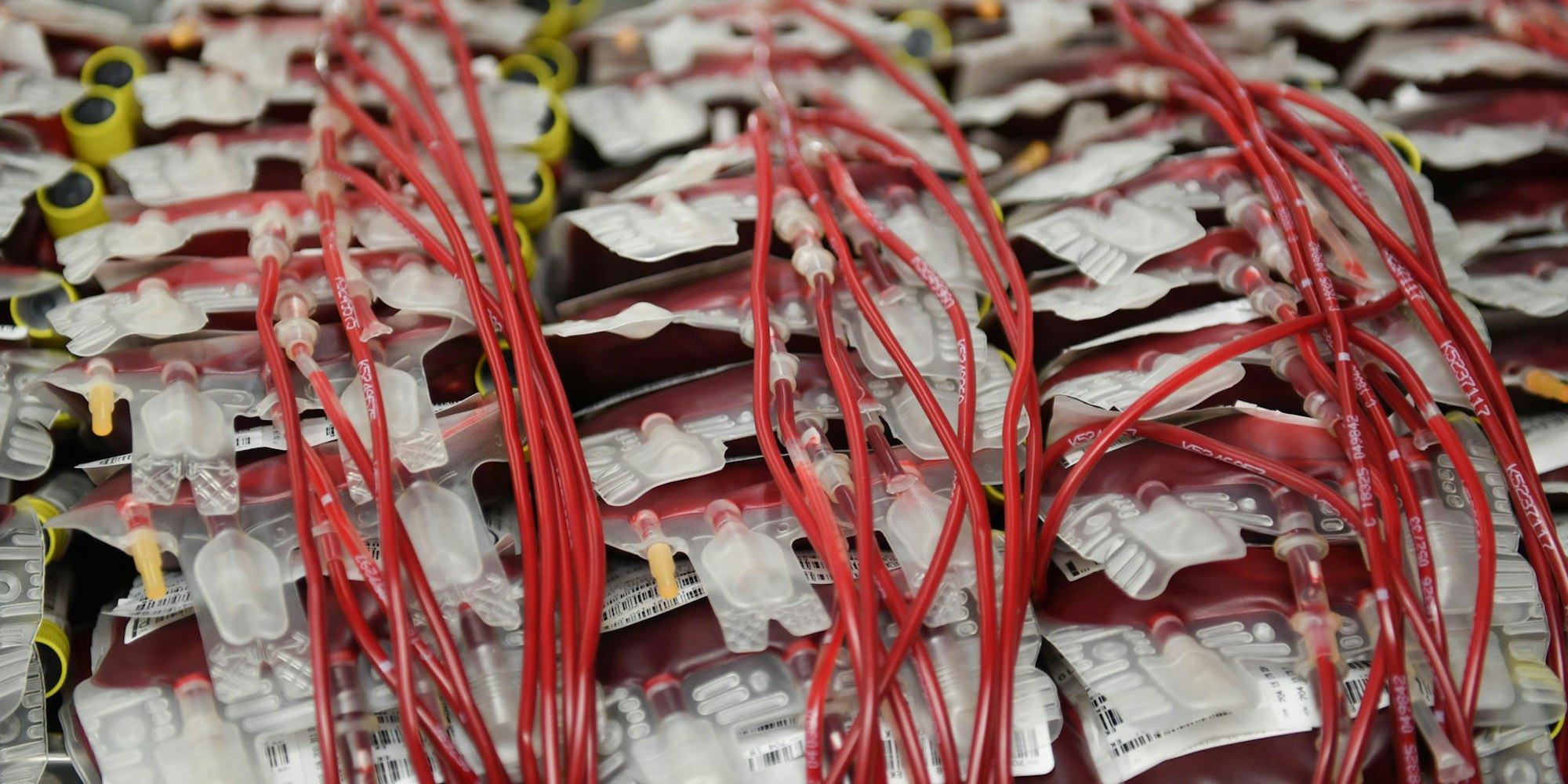 Blutspenden_69806212 (1)