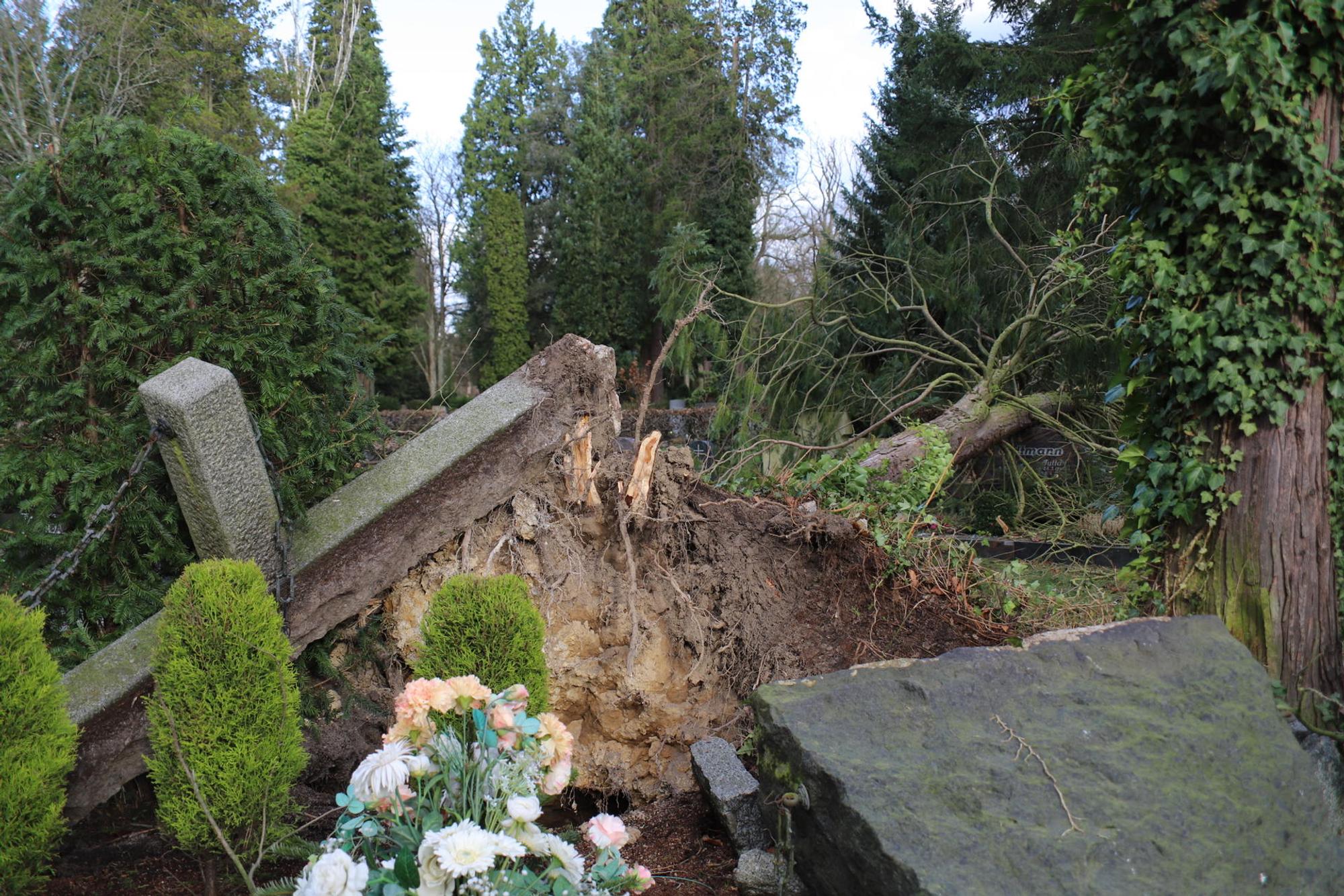 Sturm Rhein-Sieg Friedhof 190222