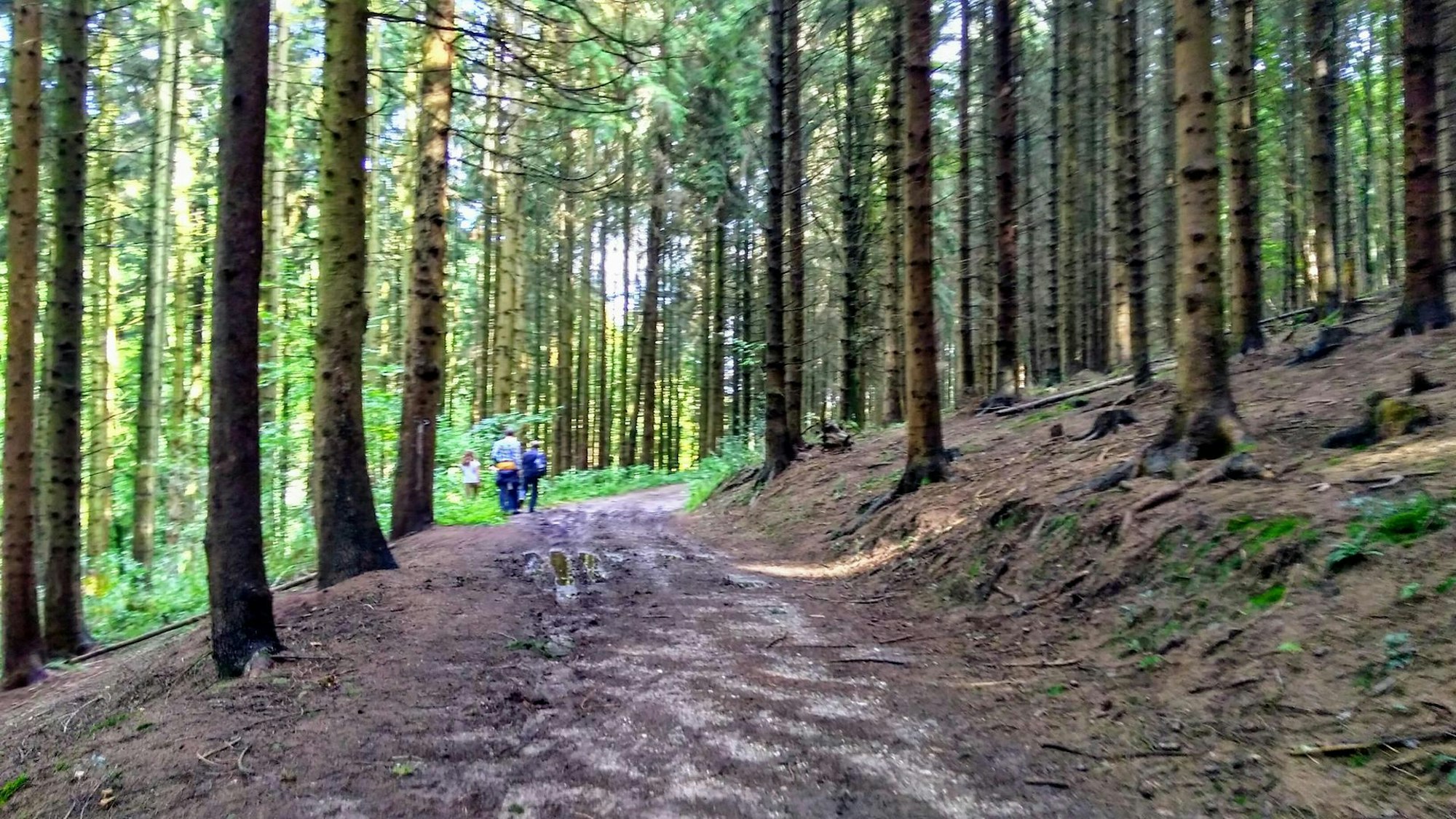 GAmmersbacher Wald Wanderung Reiche
