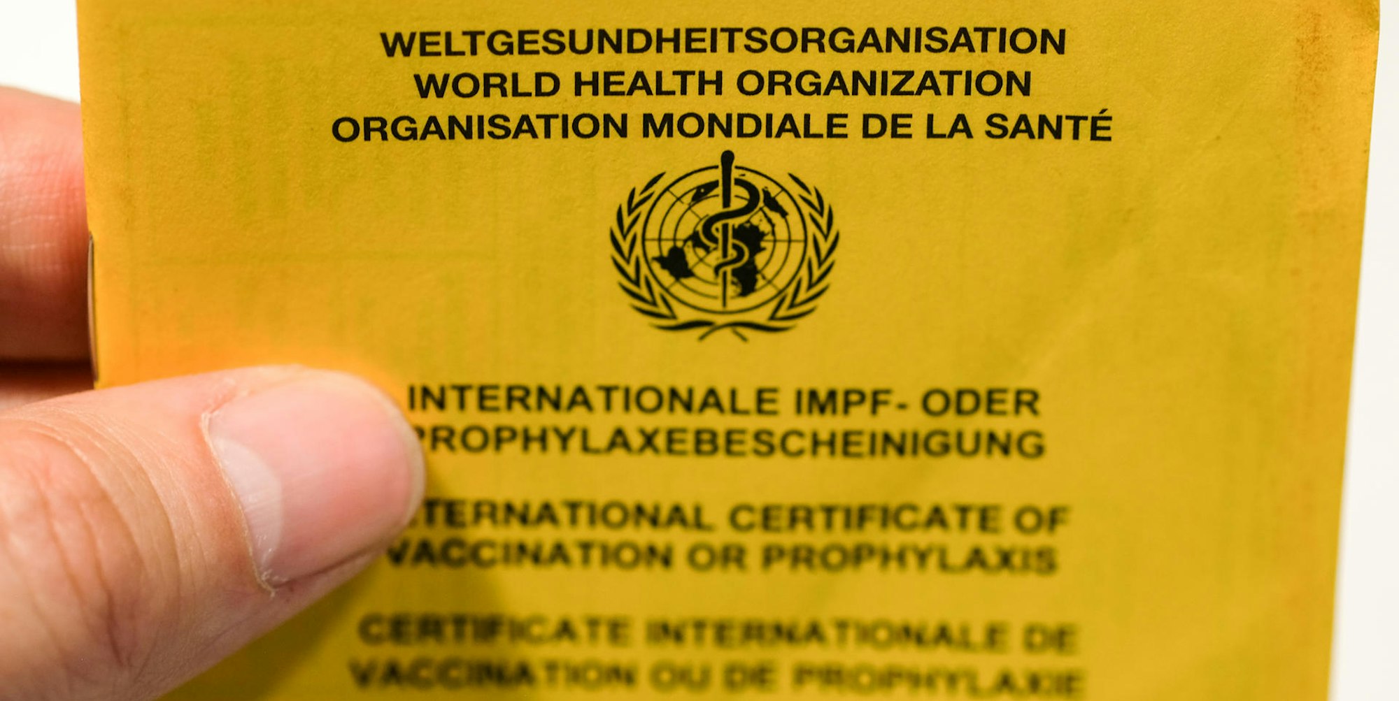 Impfausweis