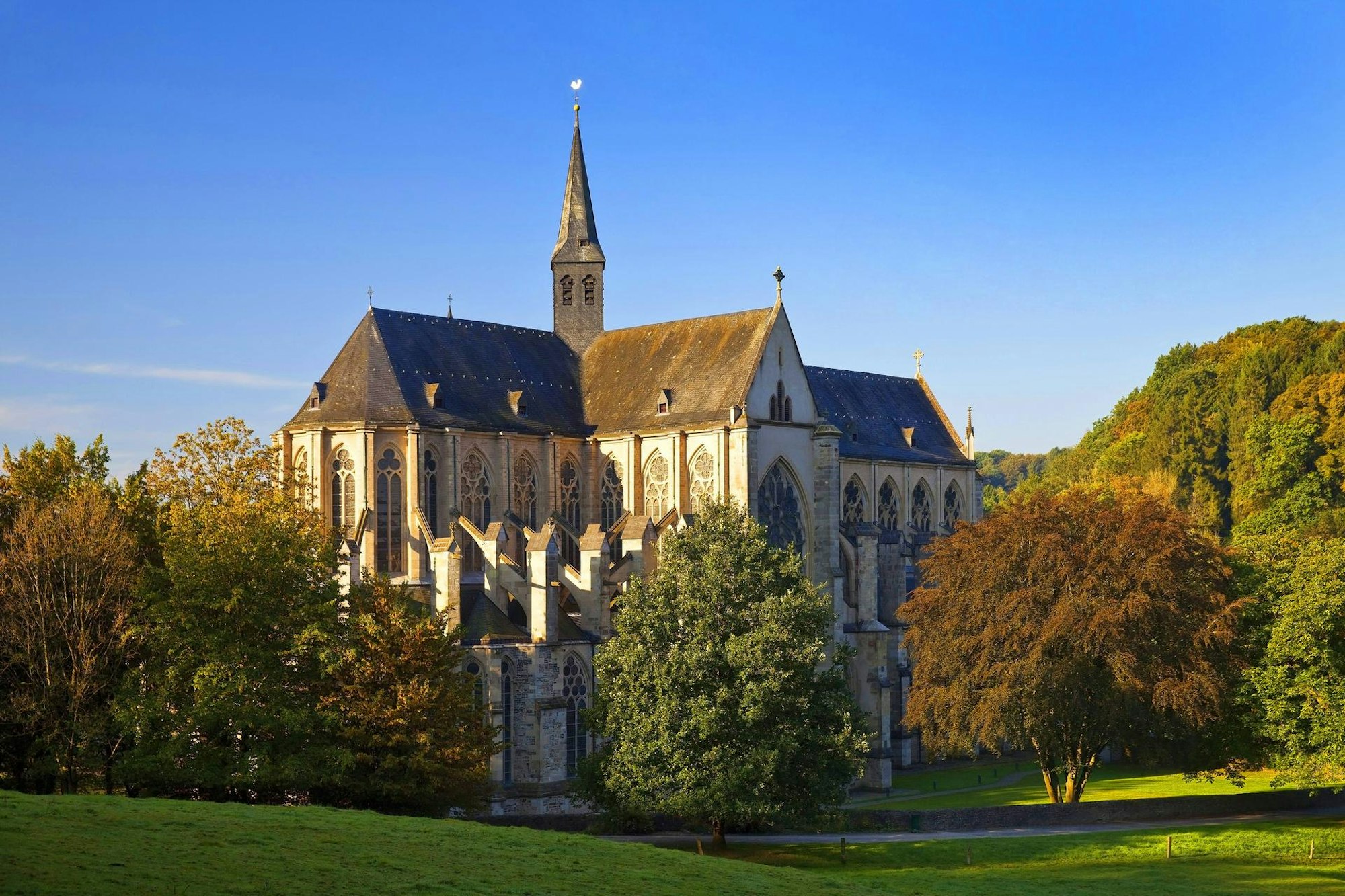 Altenberg Dom