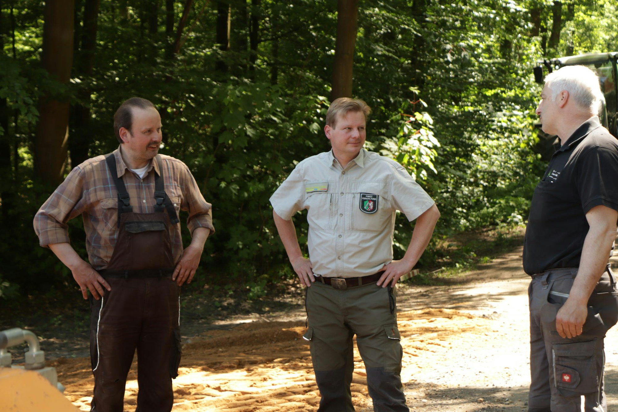 Forstbetrieb Waldweg III