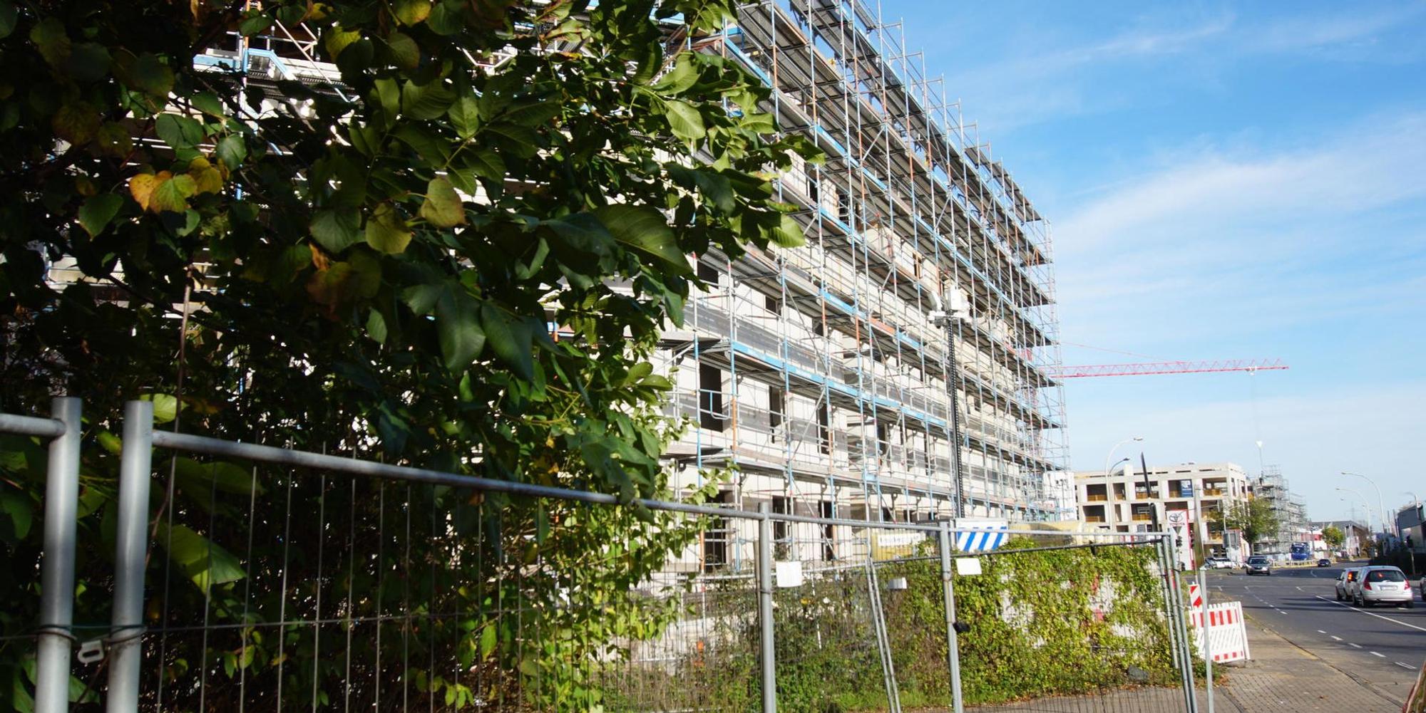 Bauen Frechen