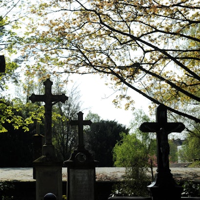 Kreuze auf einem Friedhof