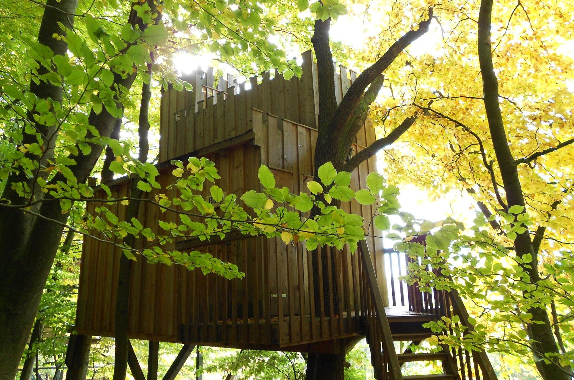 Baumhaushotel Solling 9