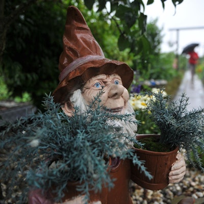 Kleingarten_62541263