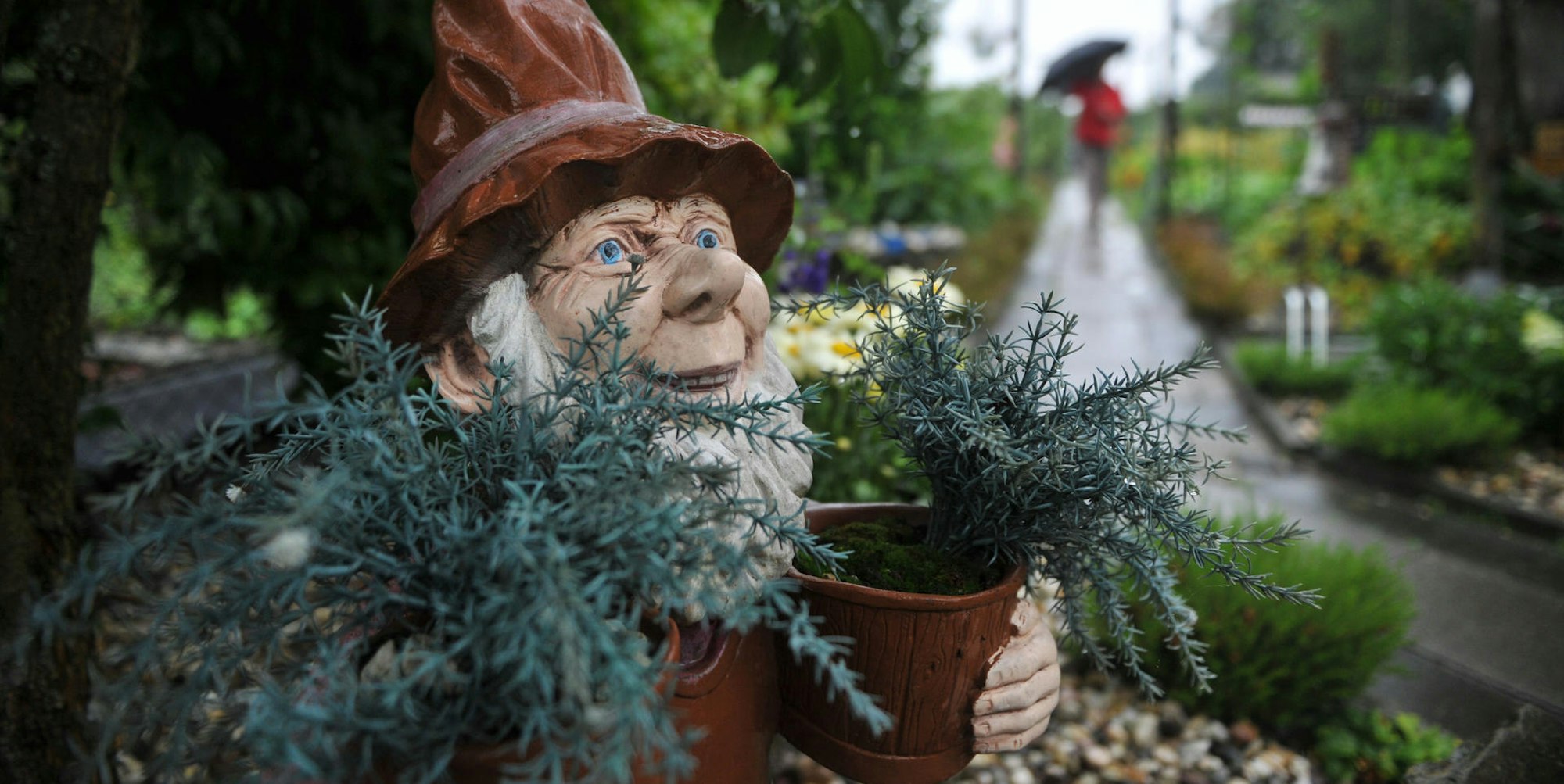 Kleingarten_62541263