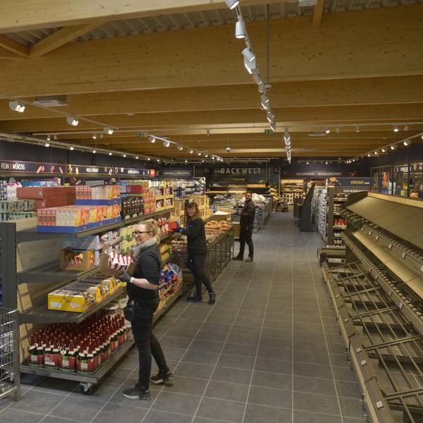 lz-aldi1