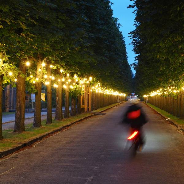 Neuer Inhalt