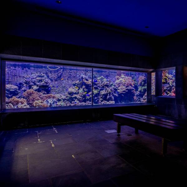 Kölner Zoo Aquarium