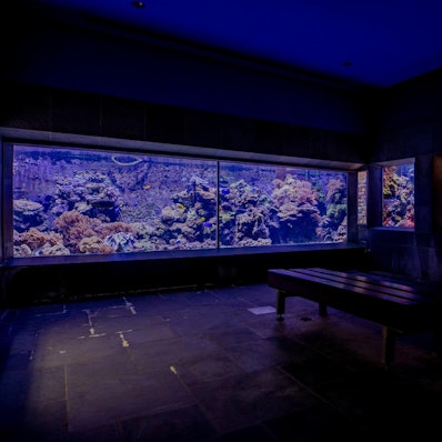 Kölner Zoo Aquarium