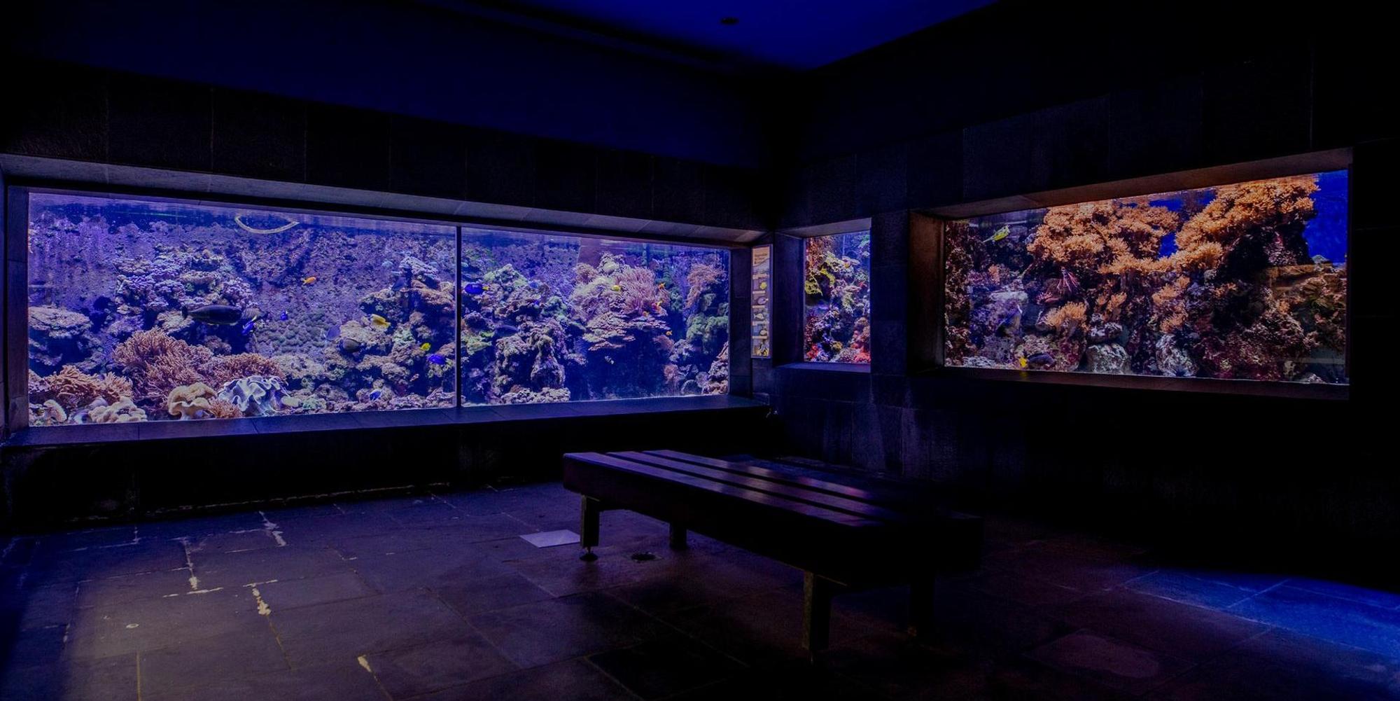 Kölner Zoo Aquarium