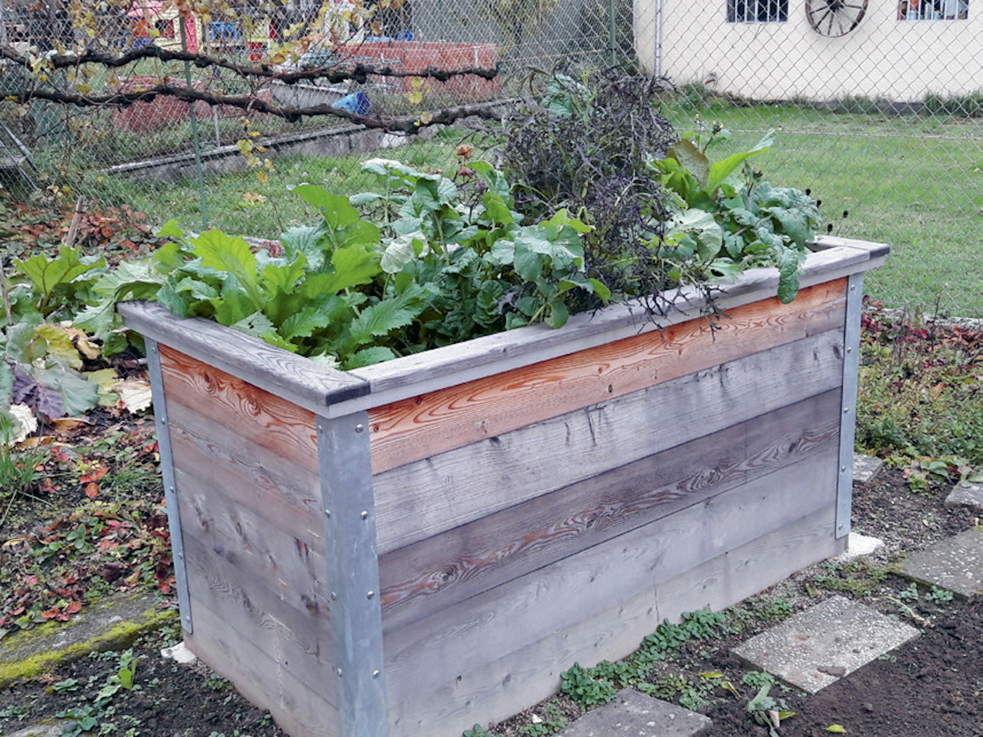 SensationellesWinterhochbeet---Doris-Kampas-(3)-1