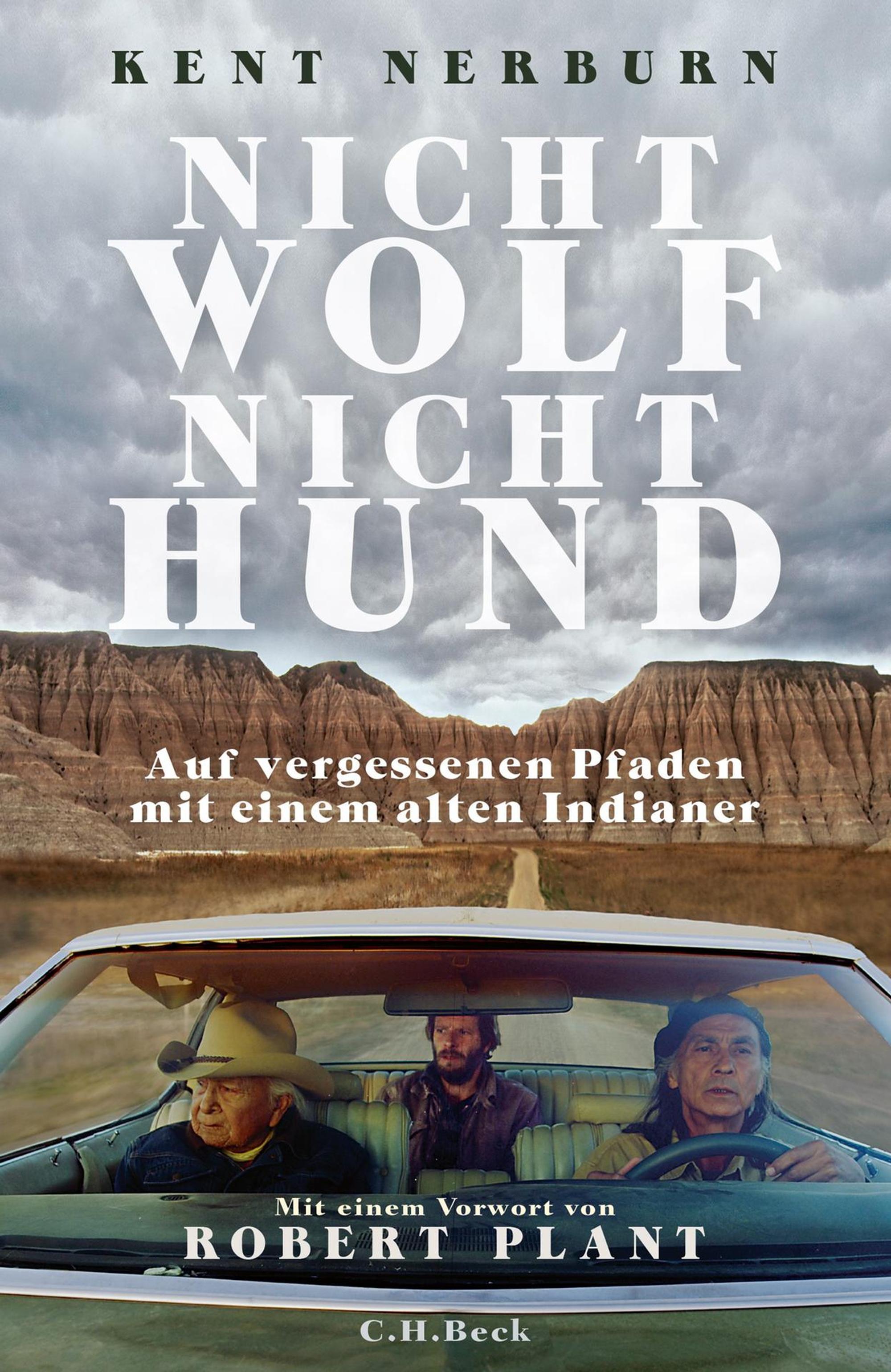 nicht wolf nicht hund ch beck