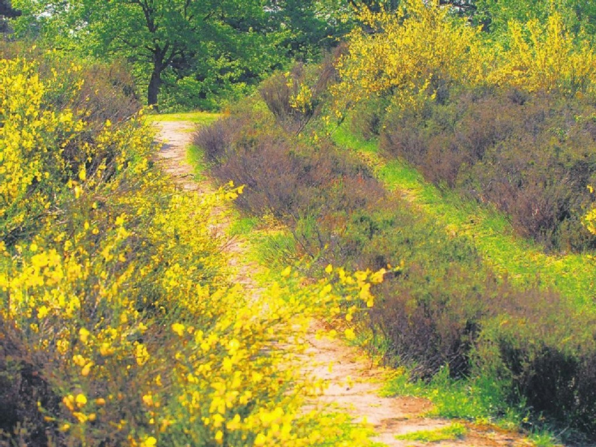 frühlingsgefühle bild 5