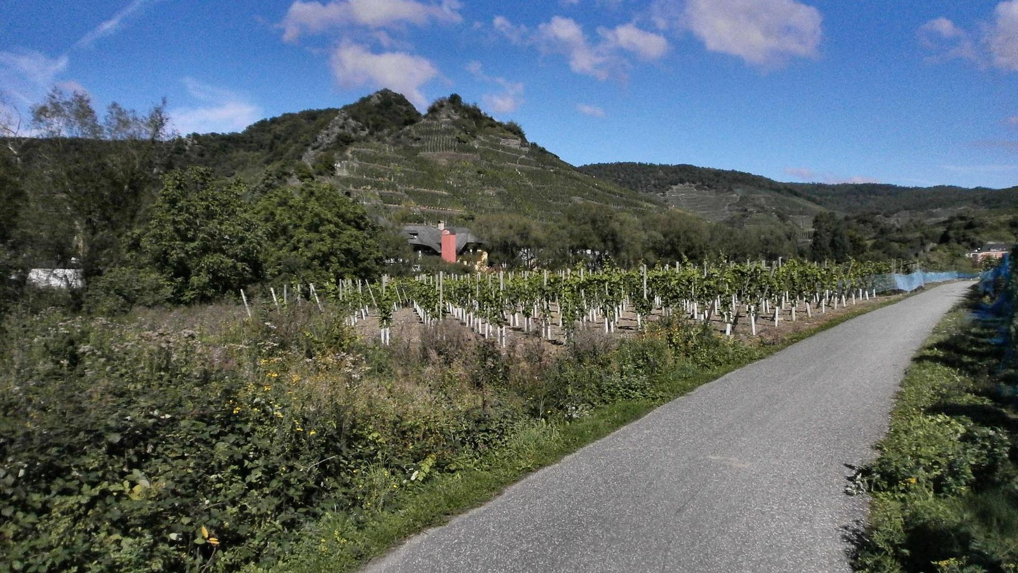 Ahr-Radweg