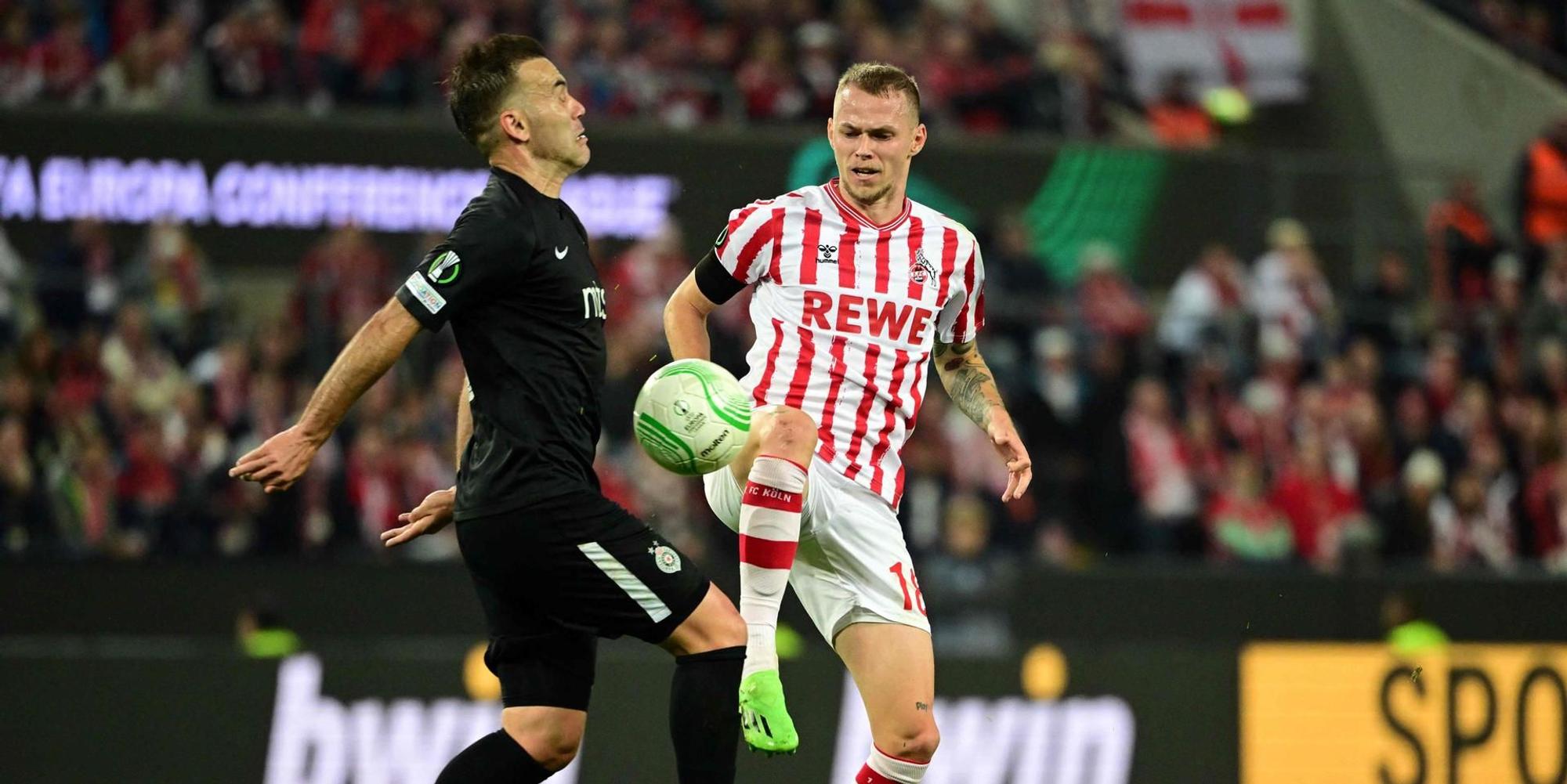 duda partizan