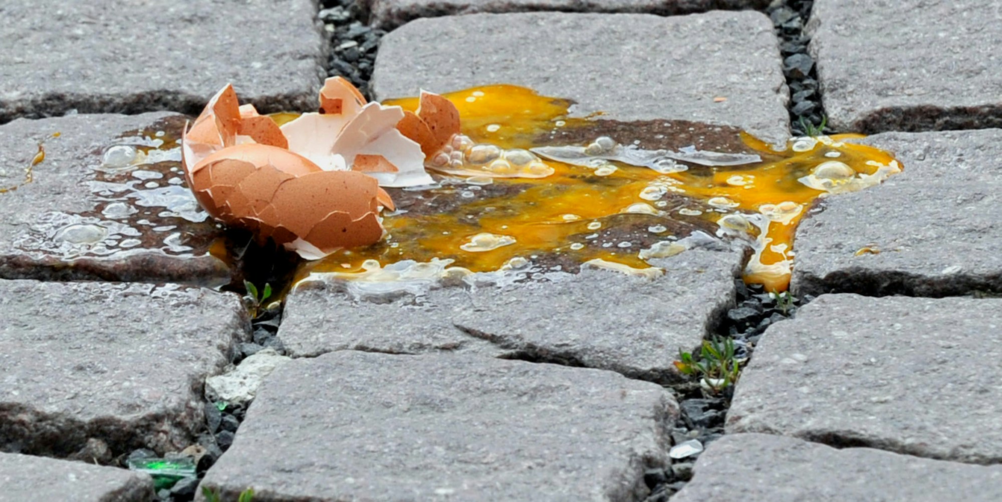 Gericht Eierwurf Wolfgarten