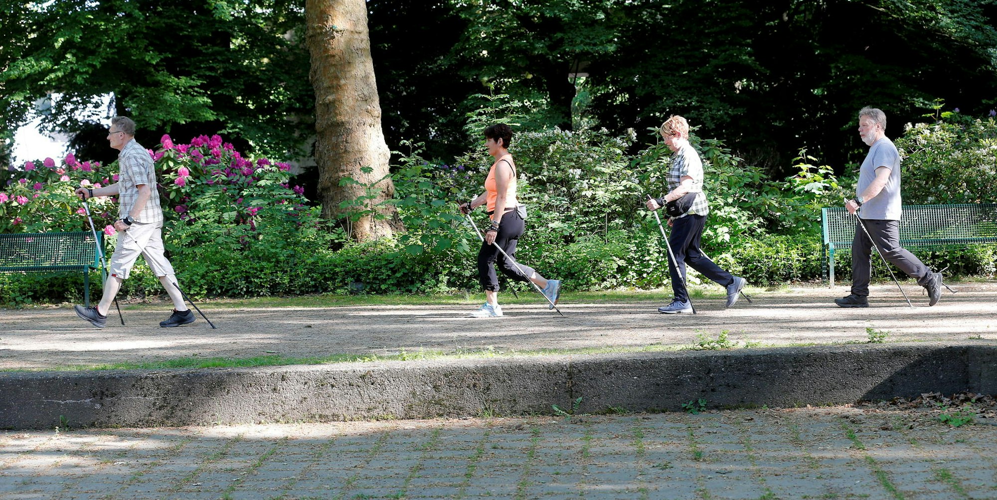 walking gruppe