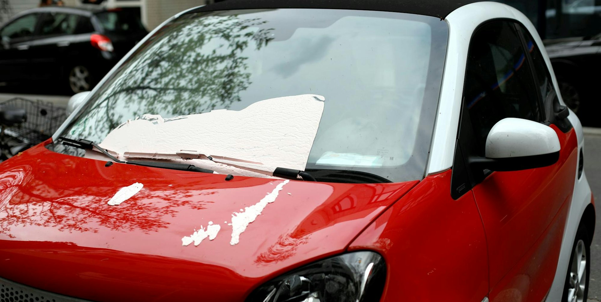 Farbanschlag Lauterbach 170421