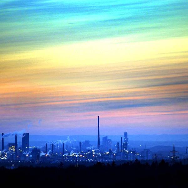 Bayer am Horizont
