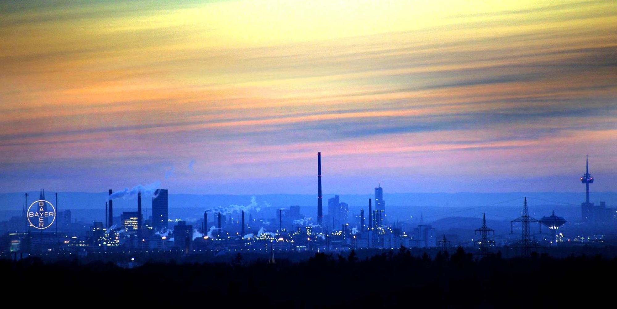 Bayer am Horizont