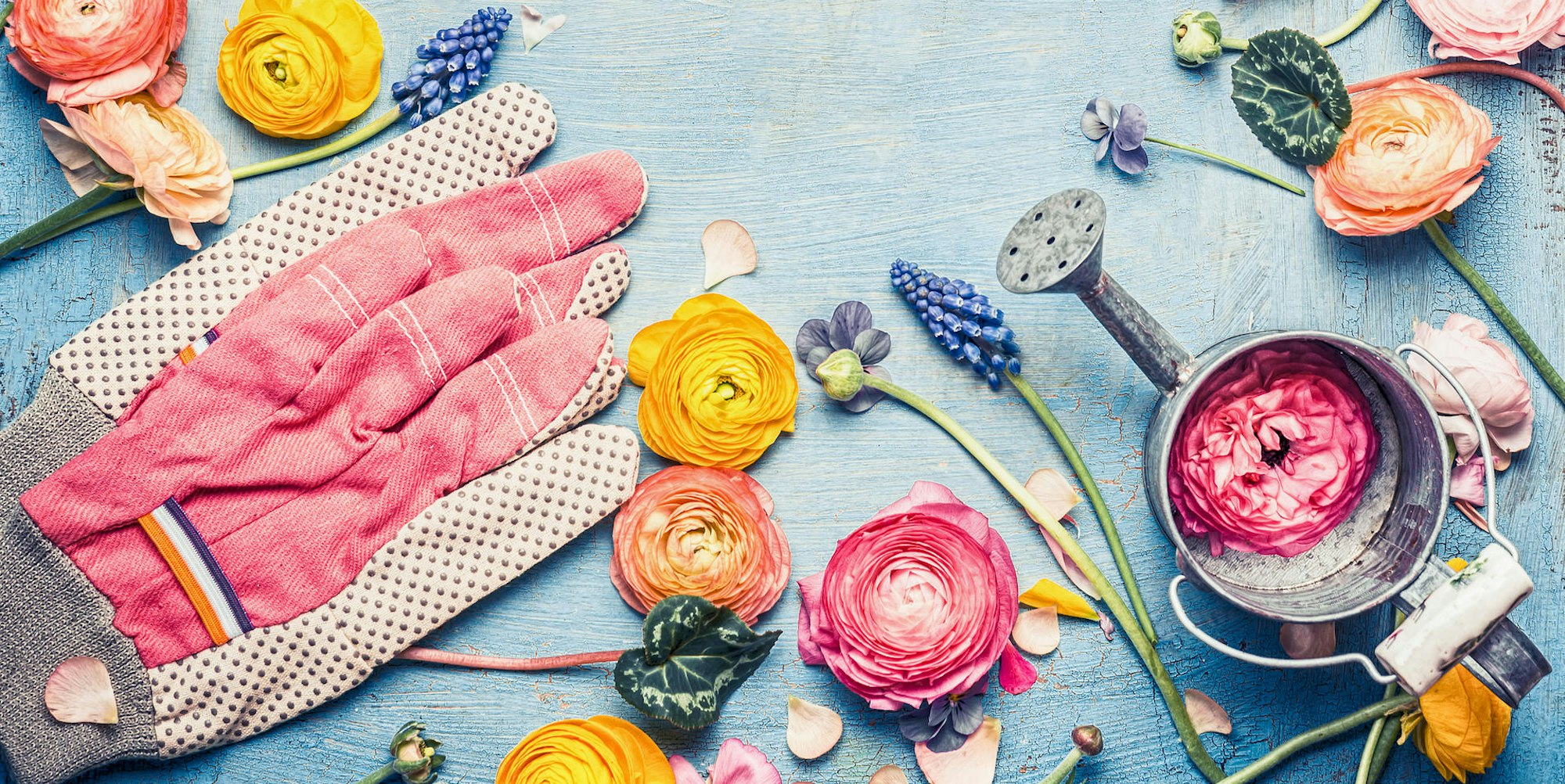 Bild Pflanzentauschbörsen