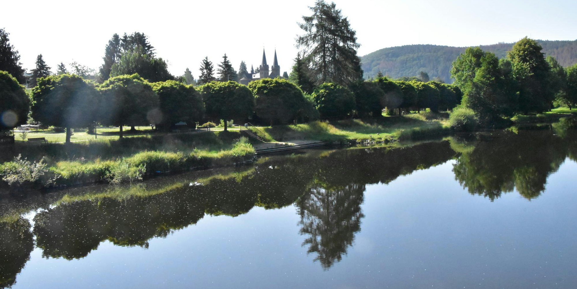 Sieg_Dattenfeld_Kugelahorne