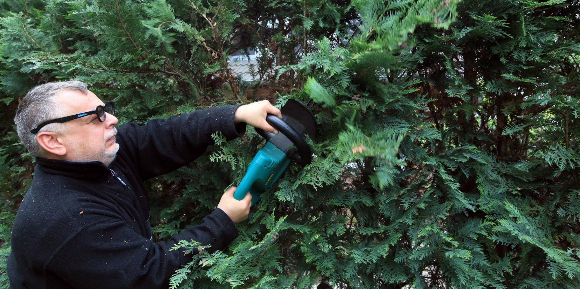 Mann schneidet die Hecke