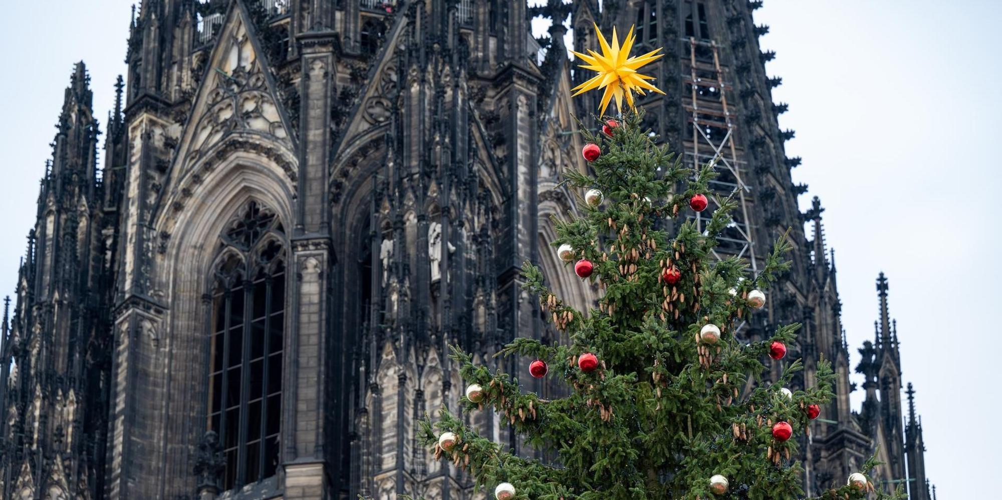 Kölner dom3