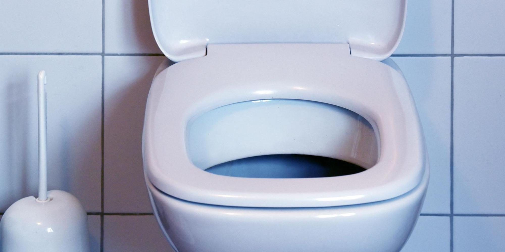 geöffnete_Toilette