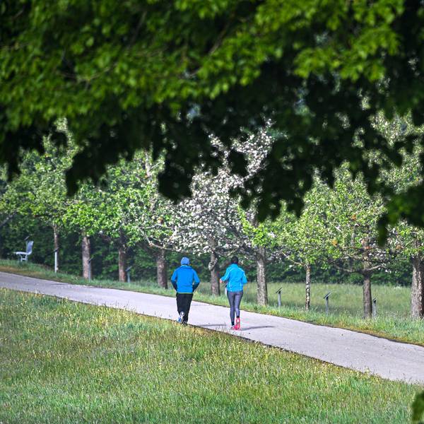 Joggen_in_der_Morgen_dpa