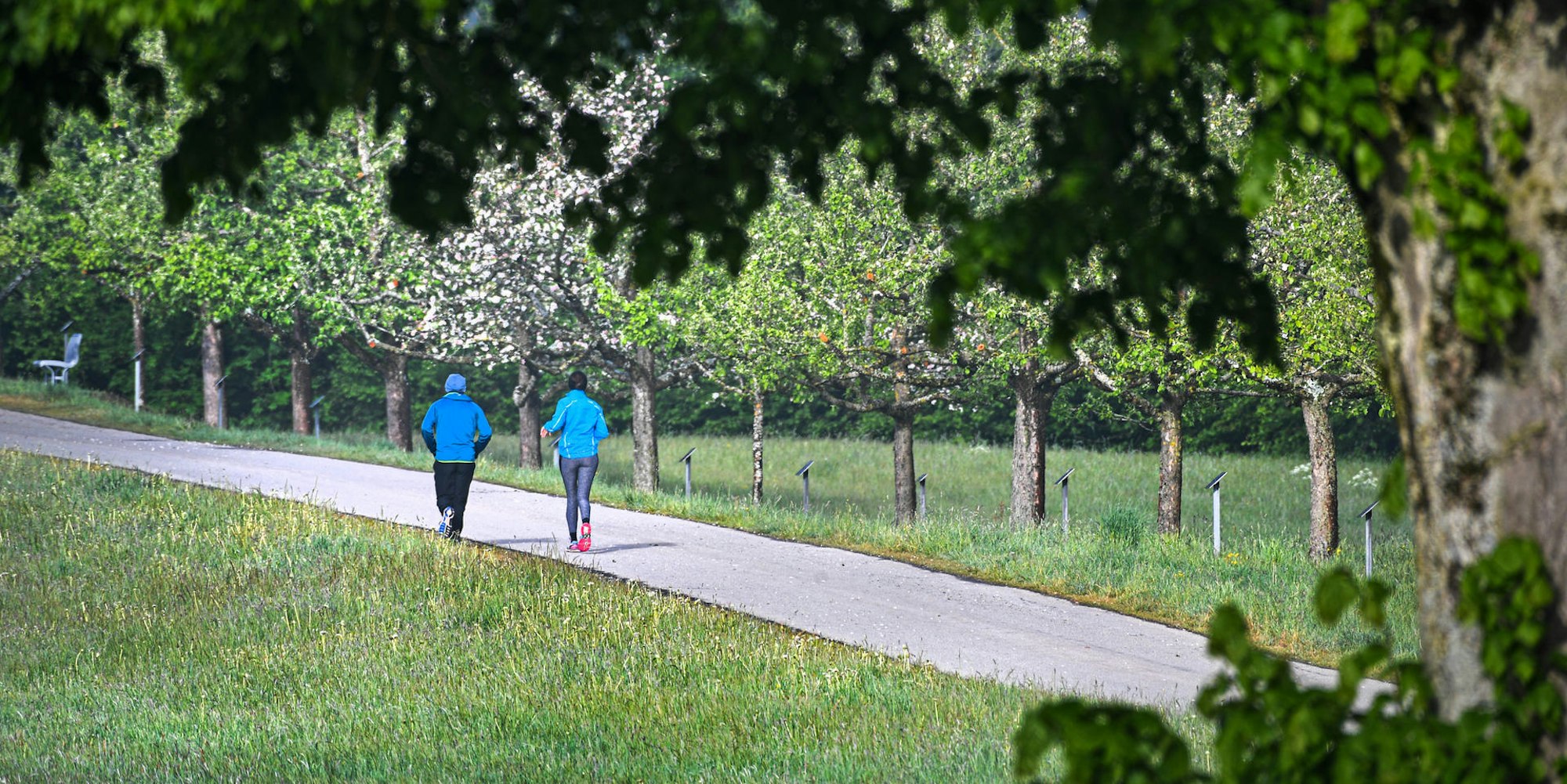 Joggen_in_der_Morgen_dpa
