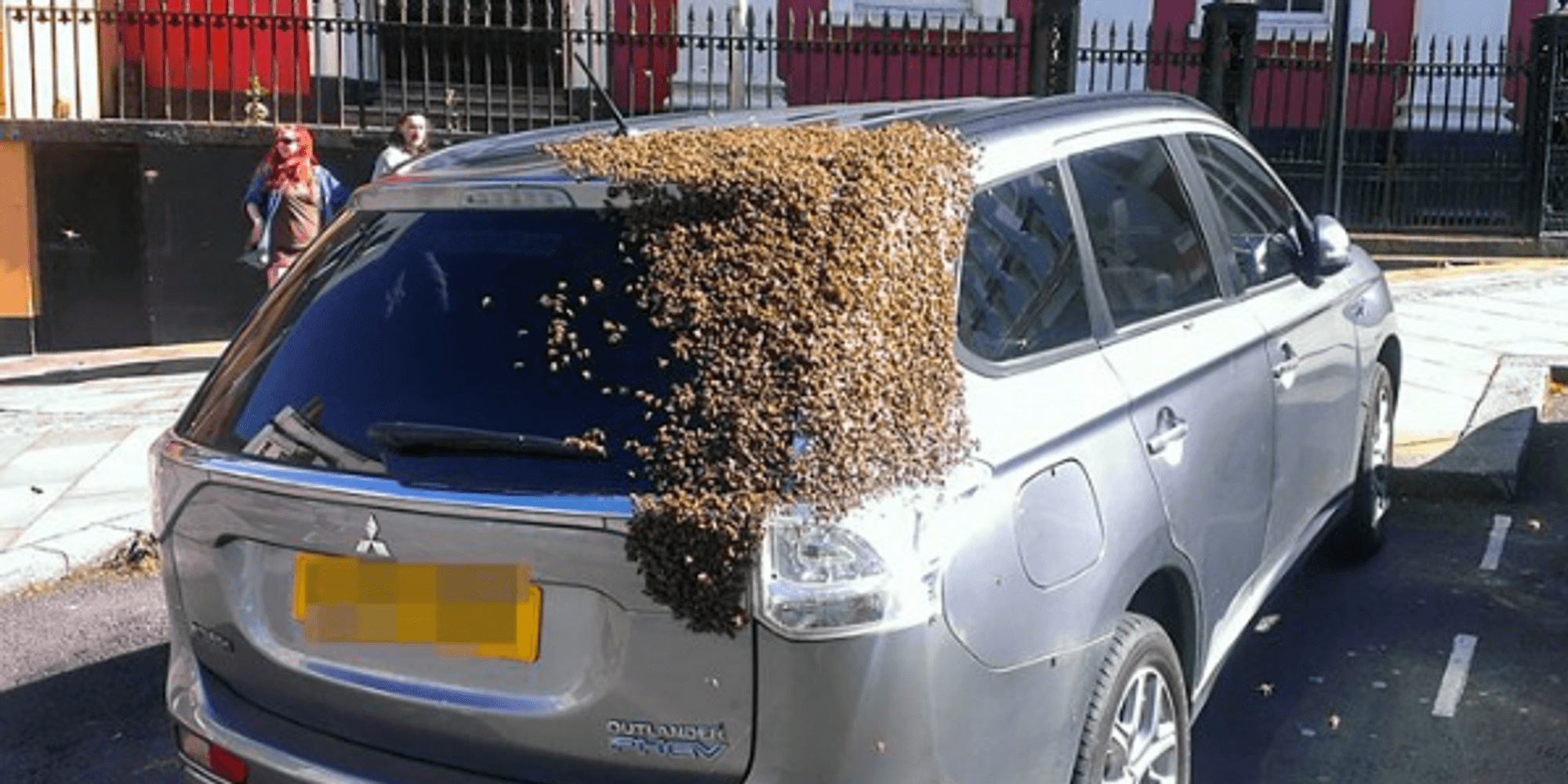 Bienen