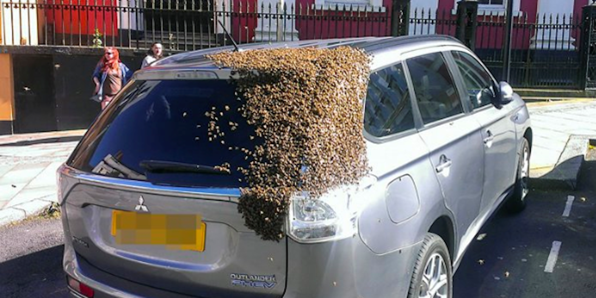 Bienen