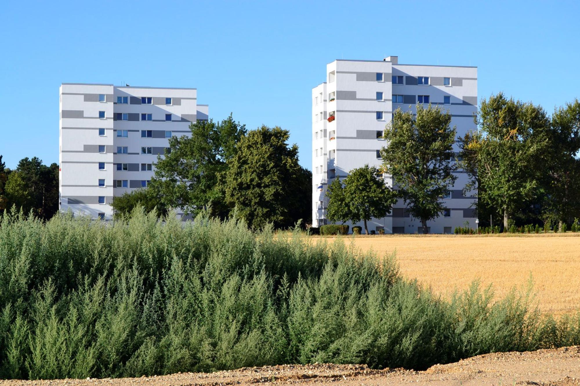Immendorf häuser