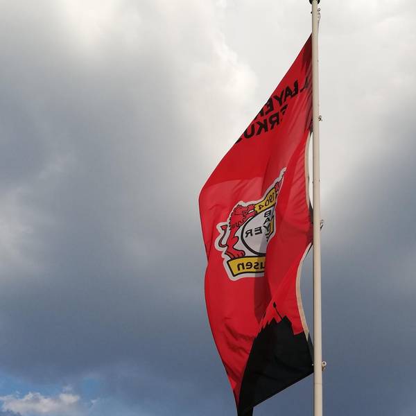 Diebesgut Bayer 04 Leverkusen