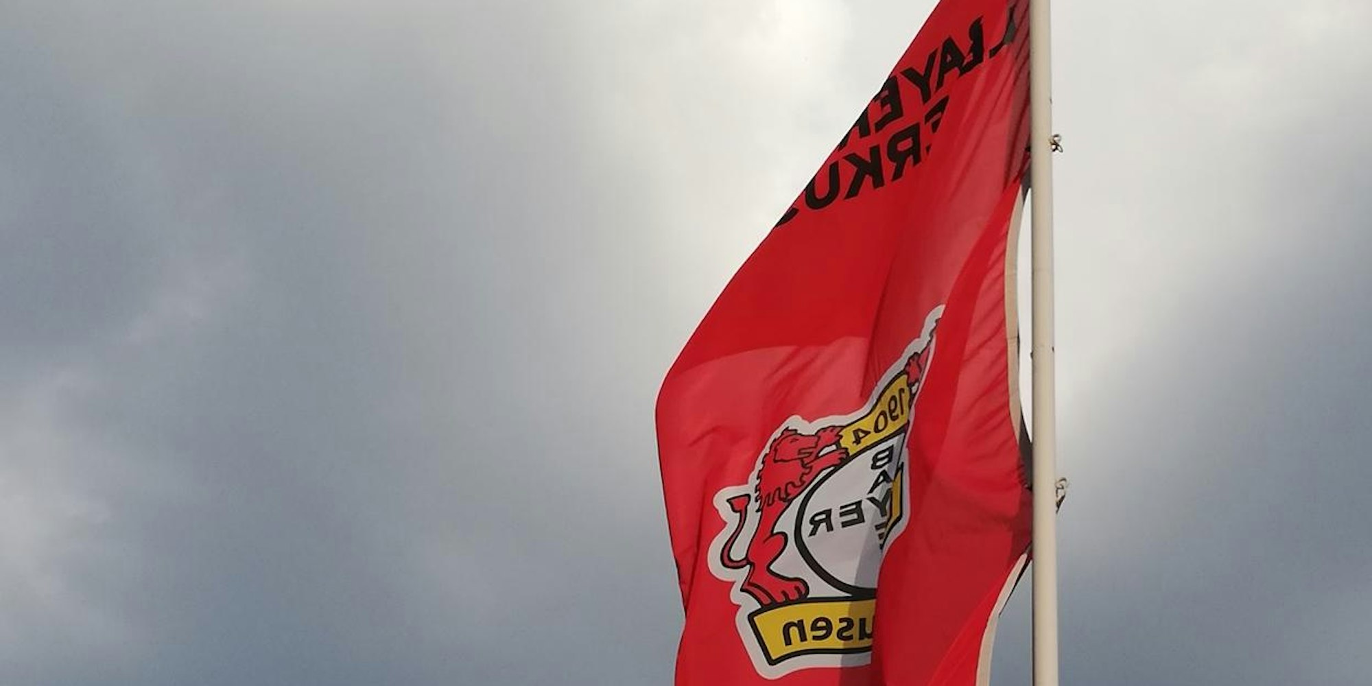 Diebesgut Bayer 04 Leverkusen