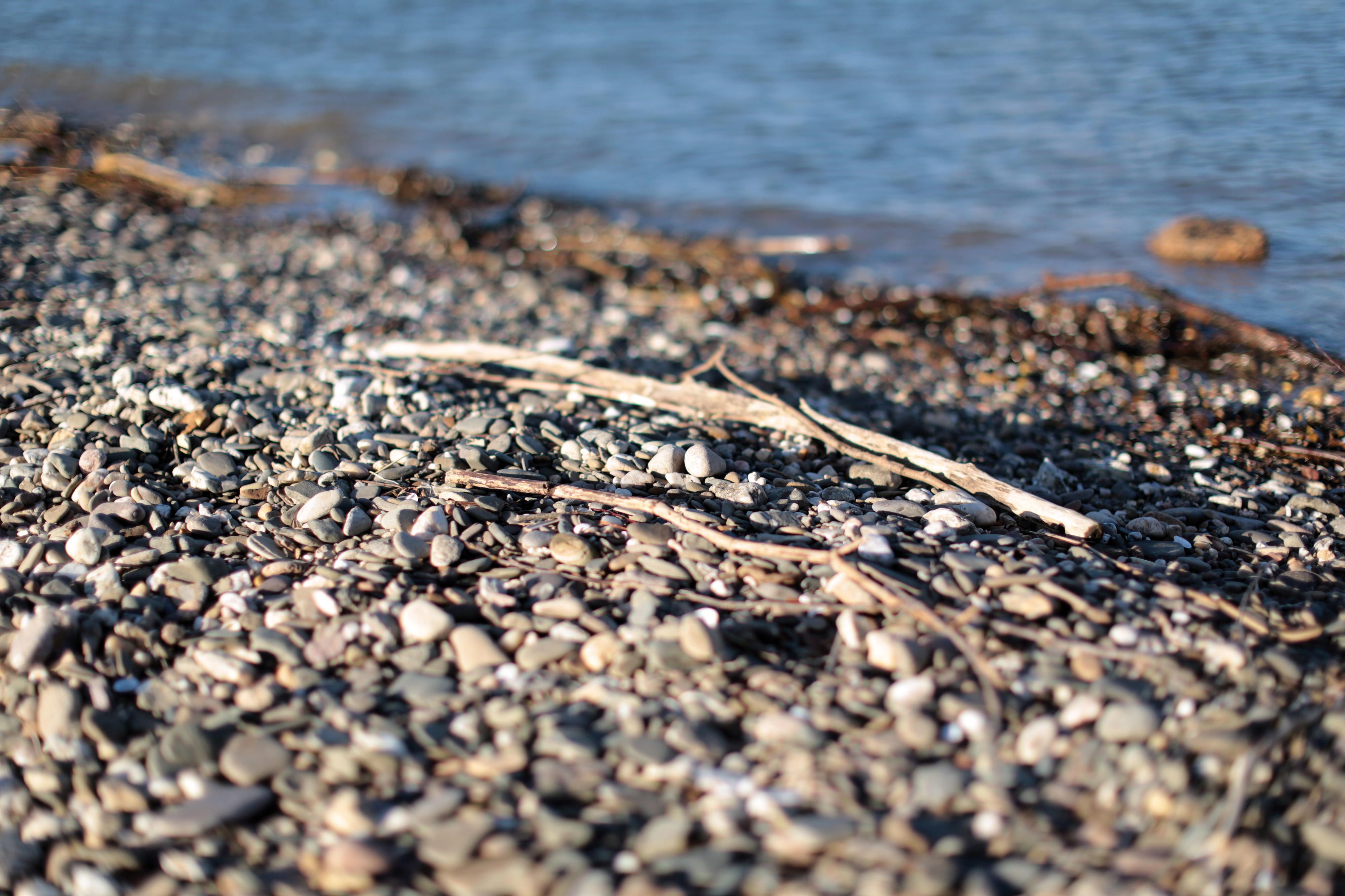 Rhein-Schau_Geologe_2