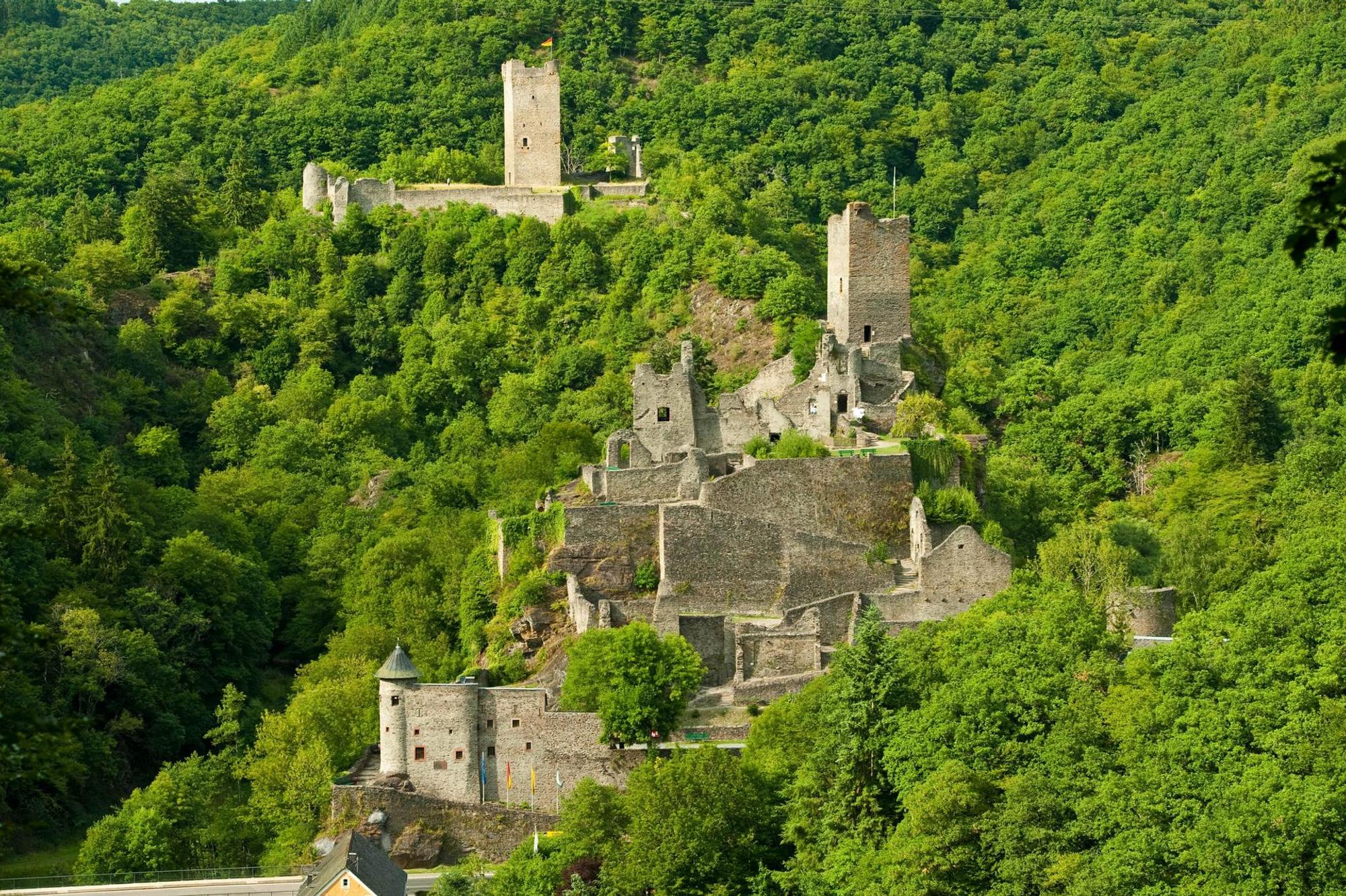 Manderscheider Burg Eifelsommer-2010