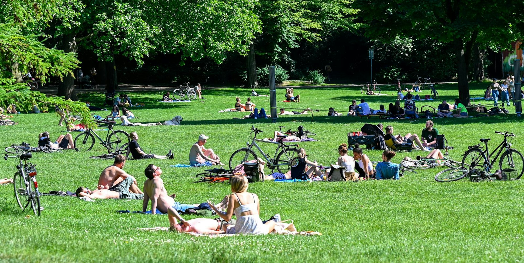 Volksgarten Park Köln 220522