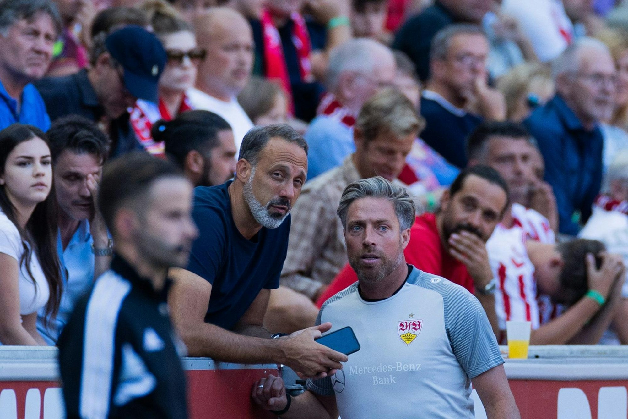 Matarazzo auf der Bank (1)