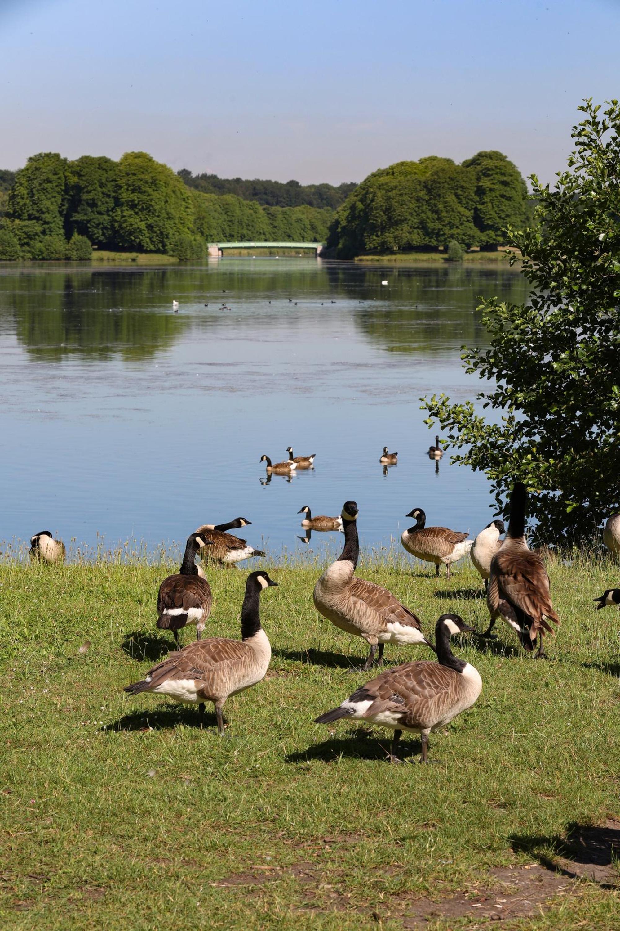 Decksteiner Weiher