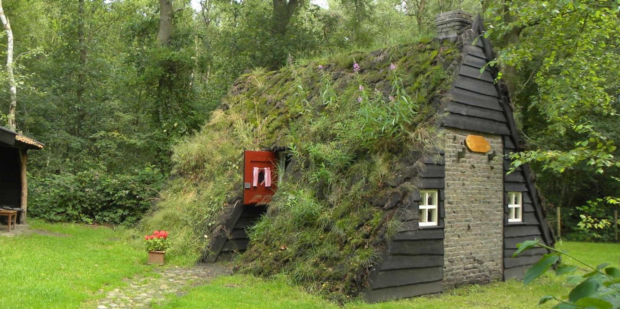 Plaggenhut_Ruben Hamberg