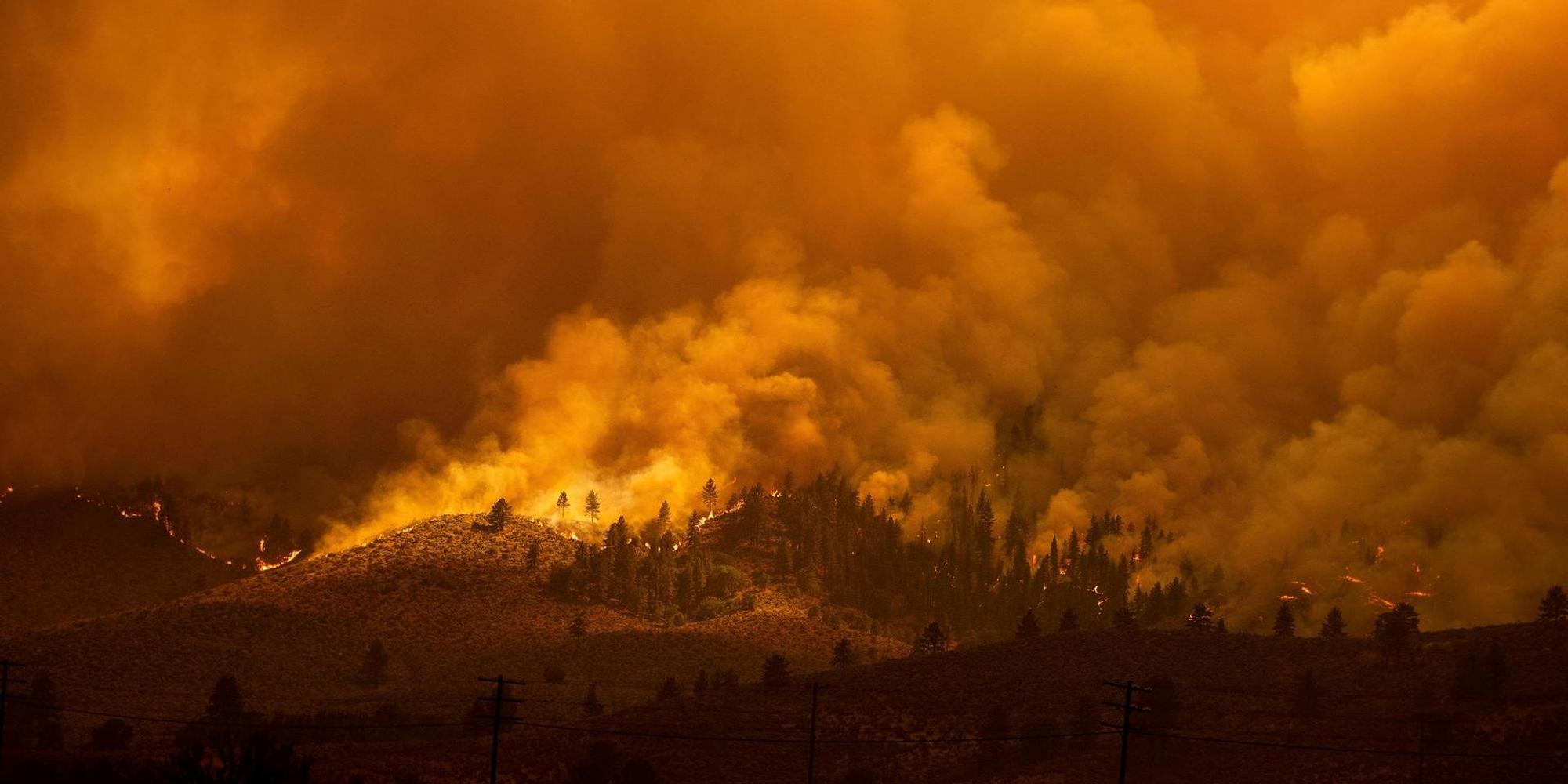 Waldbrand Kalifornien_1
